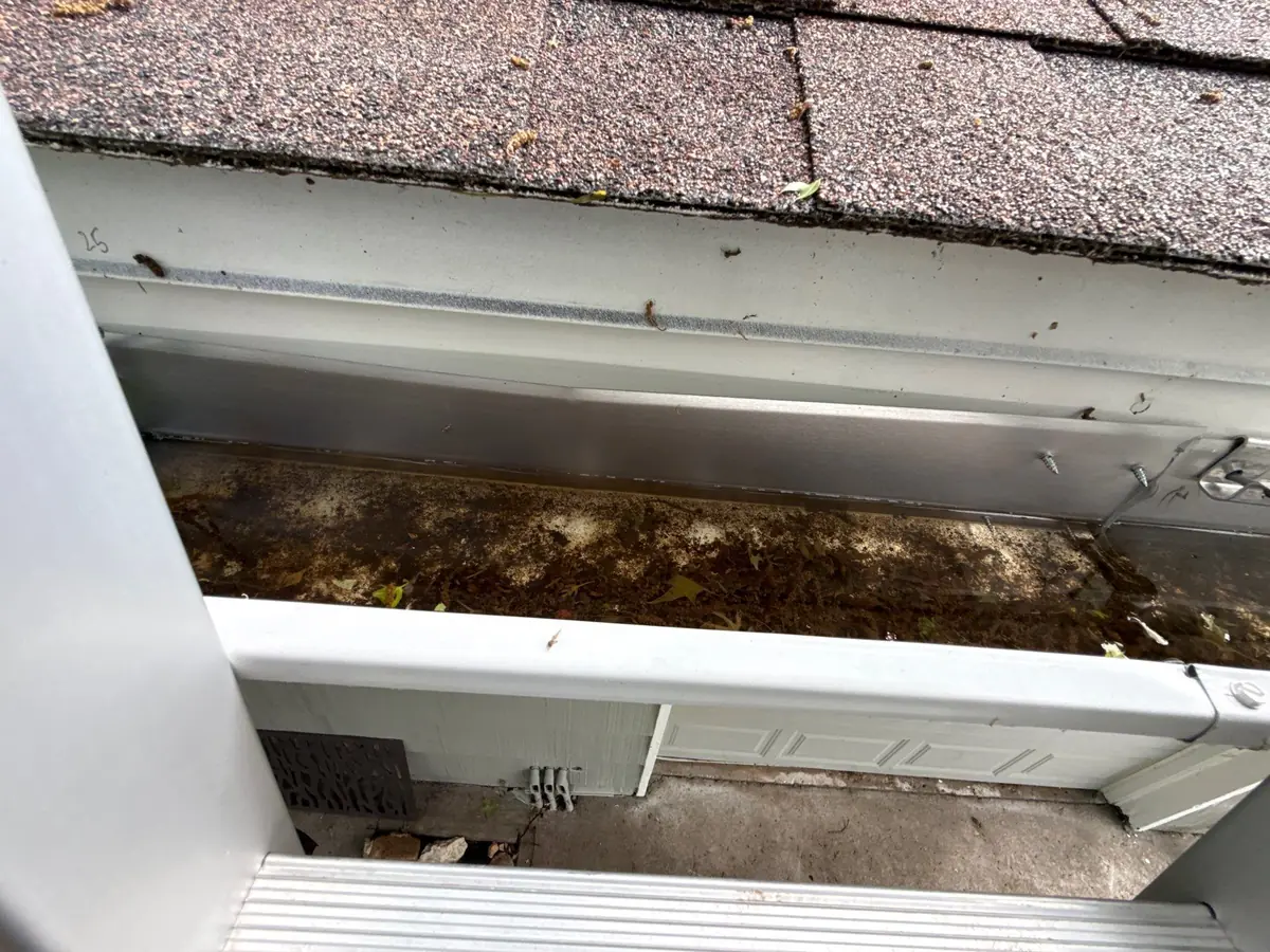 Old gutter packed with leaves and debris along a shingle roof edge