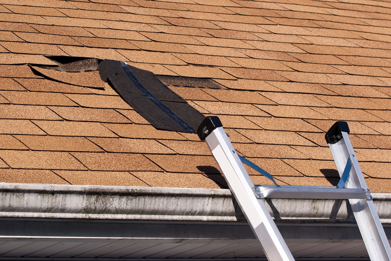 top rated Storm Damage Roof Repair company Southwest Missouri