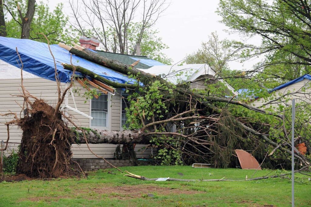 Trusted Storm Damage repair Contractor in Springfield