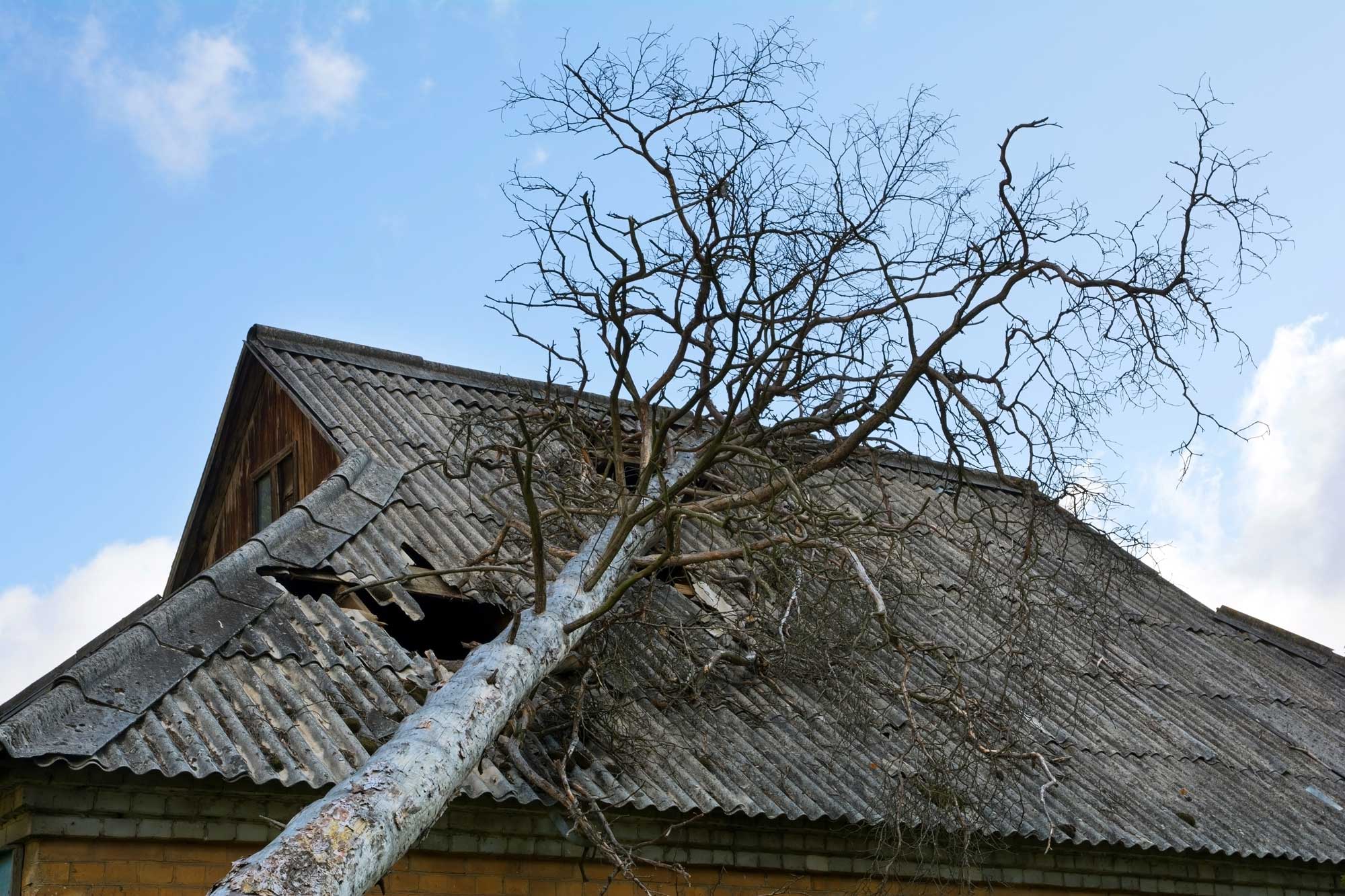 Fast Respond Roof Storm Damage Repair Company in Springfield